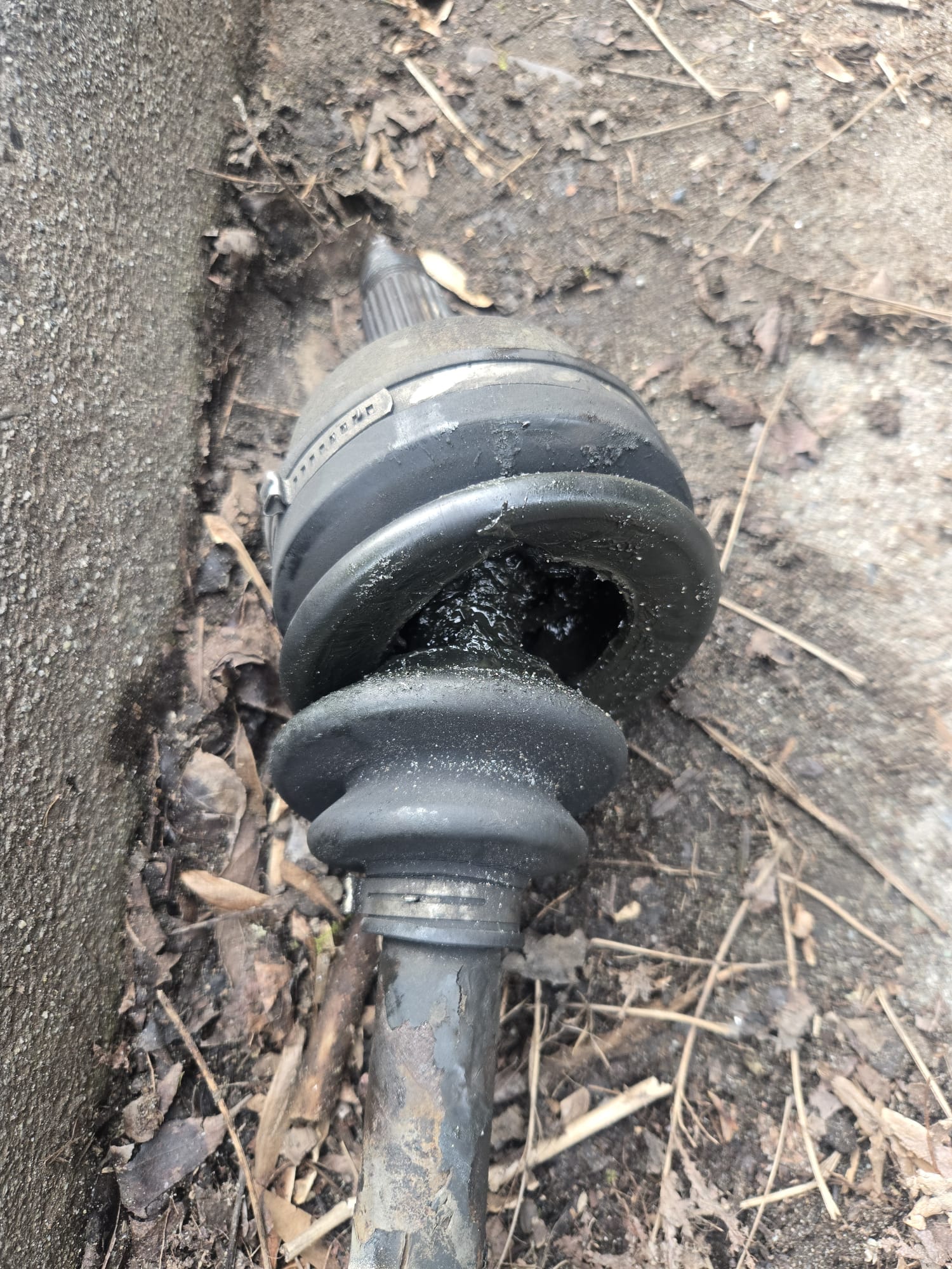 Torn Axles and the 'Bois'